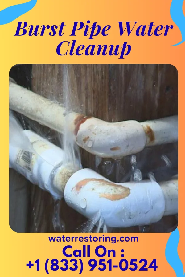 Burst Pipe Water Cleanup in Mineral Point, WI