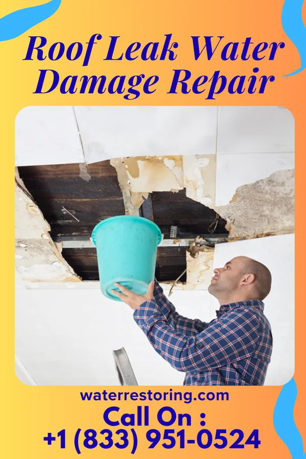 Roof Leak Water Damage Repair in Mineral Point, WI